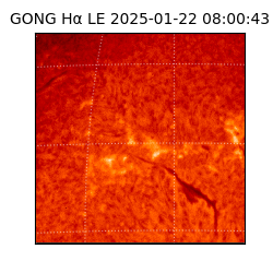 gong - 2025-01-22T08:00:43