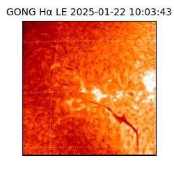 gong - 2025-01-22T10:03:43