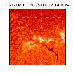 gong - 2025-01-22T14:00:42
