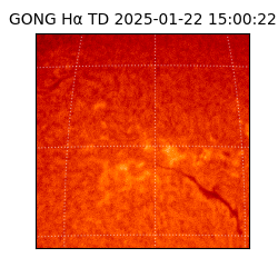 gong - 2025-01-22T15:00:22