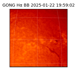 gong - 2025-01-22T19:59:02