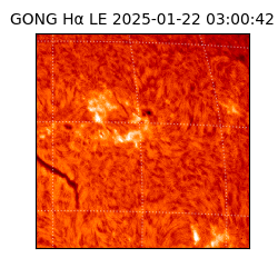 gong - 2025-01-22T03:00:42