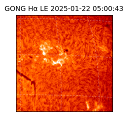 gong - 2025-01-22T05:00:43