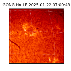 gong - 2025-01-22T07:00:43