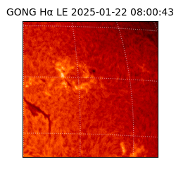 gong - 2025-01-22T08:00:43