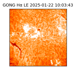 gong - 2025-01-22T10:03:43