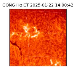 gong - 2025-01-22T14:00:42