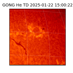 gong - 2025-01-22T15:00:22