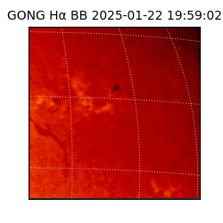 gong - 2025-01-22T19:59:02