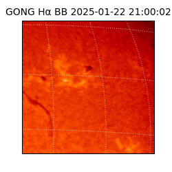 gong - 2025-01-22T21:00:02