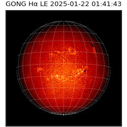 gong - 2025-01-22T01:41:43