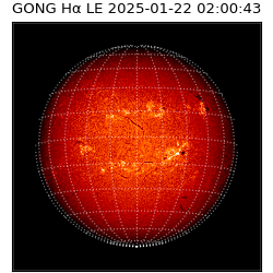 gong - 2025-01-22T02:00:43