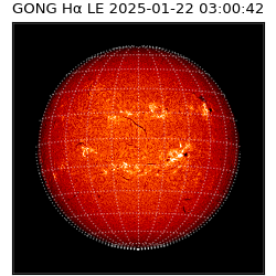 gong - 2025-01-22T03:00:42