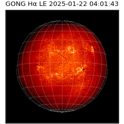 gong - 2025-01-22T04:01:43