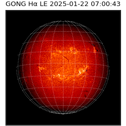 gong - 2025-01-22T07:00:43