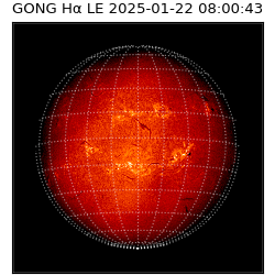 gong - 2025-01-22T08:00:43