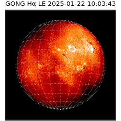gong - 2025-01-22T10:03:43