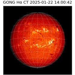 gong - 2025-01-22T14:00:42