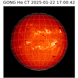 gong - 2025-01-22T17:00:42