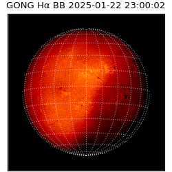 gong - 2025-01-22T23:00:02