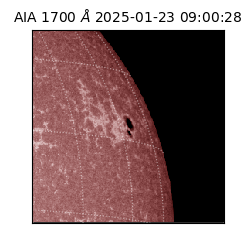 saia - 2025-01-23T09:00:28.717000