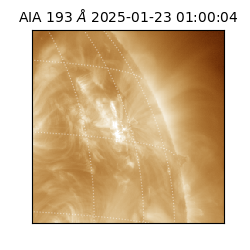 saia - 2025-01-23T01:00:04.843000