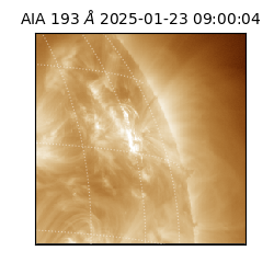 saia - 2025-01-23T09:00:04.845000