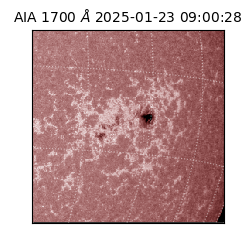 saia - 2025-01-23T09:00:28.717000