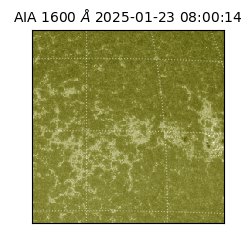 saia - 2025-01-23T08:00:14.129000