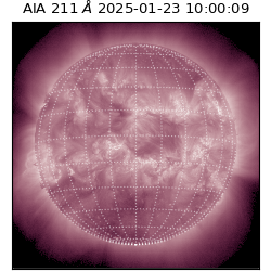 saia - 2025-01-23T10:00:09.630000