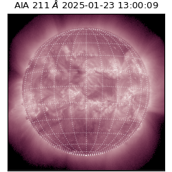 saia - 2025-01-23T13:00:09.626000