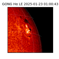 gong - 2025-01-23T01:00:43