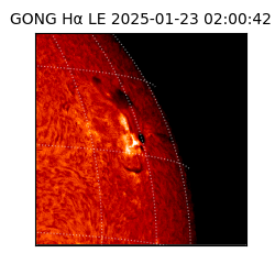 gong - 2025-01-23T02:00:42