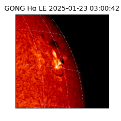 gong - 2025-01-23T03:00:42