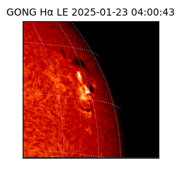 gong - 2025-01-23T04:00:43