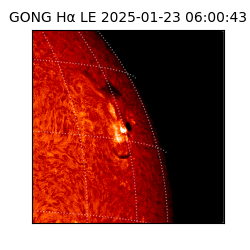 gong - 2025-01-23T06:00:43