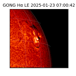 gong - 2025-01-23T07:00:42