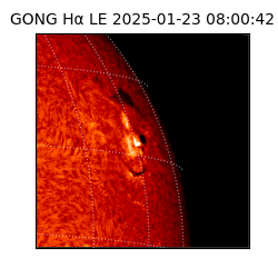 gong - 2025-01-23T08:00:42