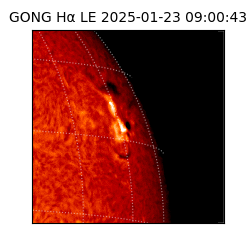 gong - 2025-01-23T09:00:43