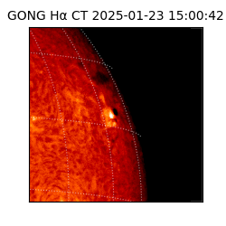 gong - 2025-01-23T15:00:42