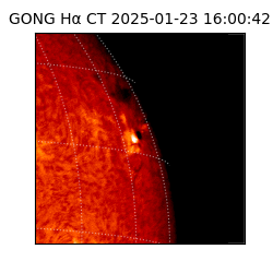 gong - 2025-01-23T16:00:42