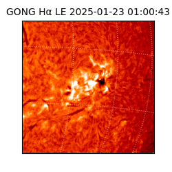 gong - 2025-01-23T01:00:43