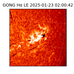 gong - 2025-01-23T02:00:42