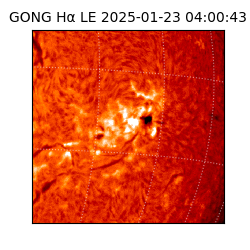 gong - 2025-01-23T04:00:43