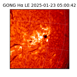 gong - 2025-01-23T05:00:42