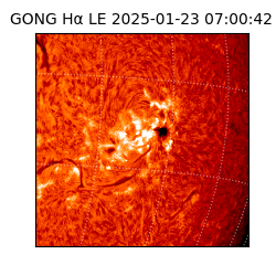 gong - 2025-01-23T07:00:42
