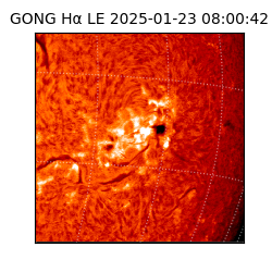 gong - 2025-01-23T08:00:42