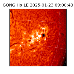 gong - 2025-01-23T09:00:43