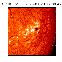 gong - 2025-01-23T12:00:42