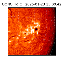 gong - 2025-01-23T15:00:42